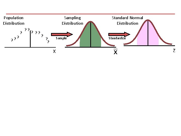 Population Distribution ? ? ? Sampling Distribution Sample X Standard Normal Distribution Standardize Z