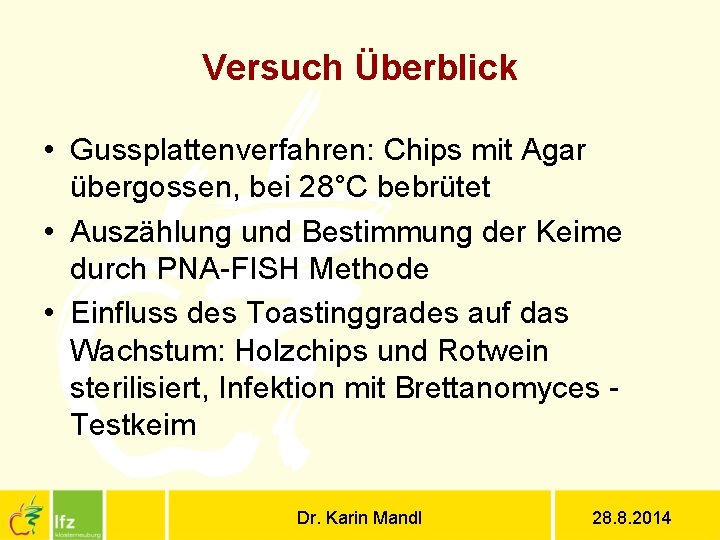 Versuch Überblick • Gussplattenverfahren: Chips mit Agar übergossen, bei 28°C bebrütet • Auszählung und