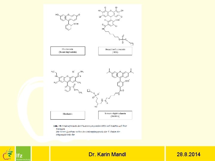 Dr. Karin Mandl 28. 8. 2014 