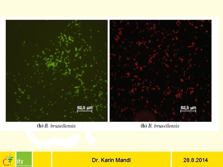 Dr. Karin Mandl 28. 8. 2014 