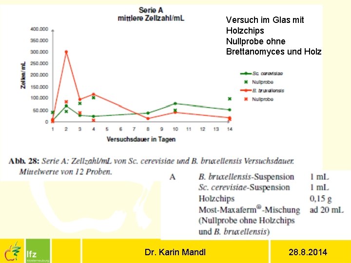 Versuch im Glas mit Holzchips Nullprobe ohne Brettanomyces und Holz Dr. Karin Mandl 28.