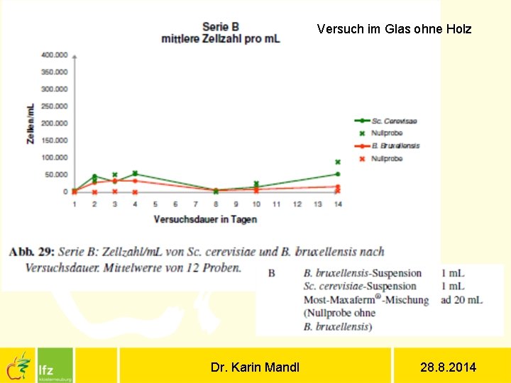 Versuch im Glas ohne Holz Dr. Karin Mandl 28. 8. 2014 
