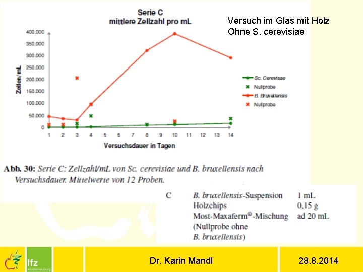 Versuch im Glas mit Holz Ohne S. cerevisiae Dr. Karin Mandl 28. 8. 2014