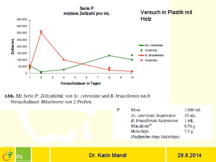 Versuch in Plastik mit Holz Dr. Karin Mandl 28. 8. 2014 