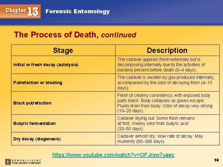 Forensic Entomology The Process of Death, continued Stage Description Initial or fresh decay (autolysis)