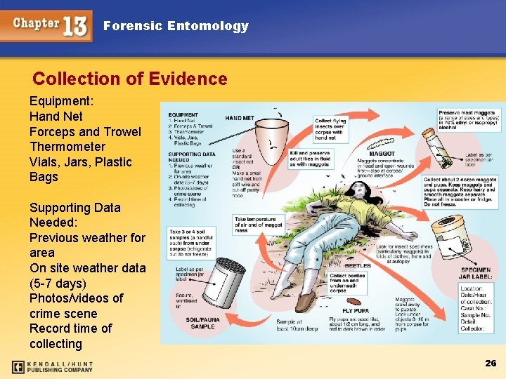 Forensic Entomology Collection of Evidence Equipment: Hand Net Forceps and Trowel Thermometer Vials, Jars,
