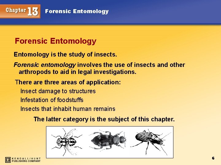 Forensic Entomology is the study of insects. Forensic entomology involves the use of insects