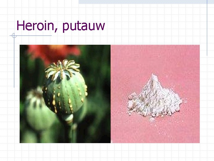 Heroin, putauw 