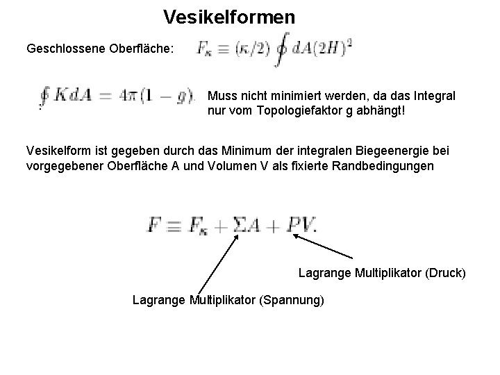 Vesikelformen Geschlossene Oberfläche: Muss nicht minimiert werden, da das Integral nur vom Topologiefaktor g