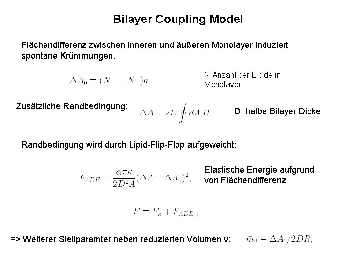 Bilayer Coupling Model Flächendifferenz zwischen inneren und äußeren Monolayer induziert spontane Krümmungen. N Anzahl