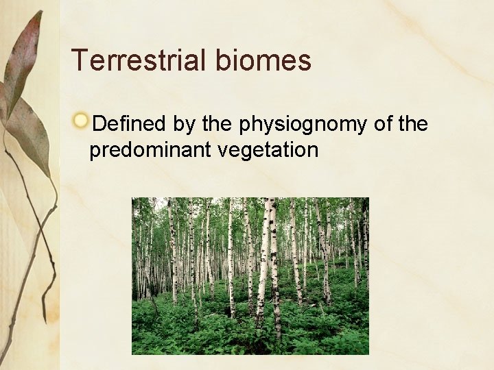 Terrestrial biomes Defined by the physiognomy of the predominant vegetation 