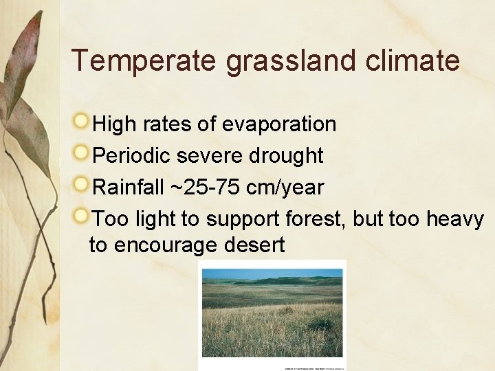 Temperate grassland climate High rates of evaporation Periodic severe drought Rainfall ~25 -75 cm/year