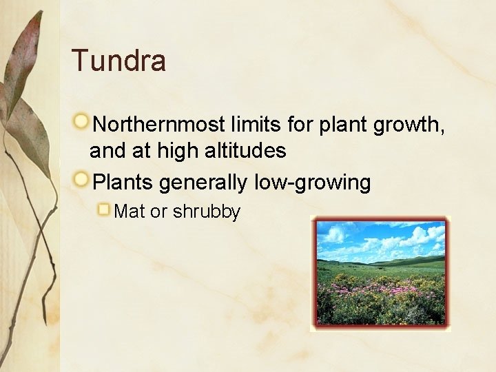 Tundra Northernmost limits for plant growth, and at high altitudes Plants generally low-growing Mat