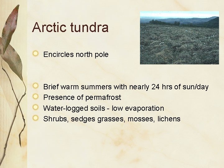 Arctic tundra Encircles north pole Brief warm summers with nearly 24 hrs of sun/day