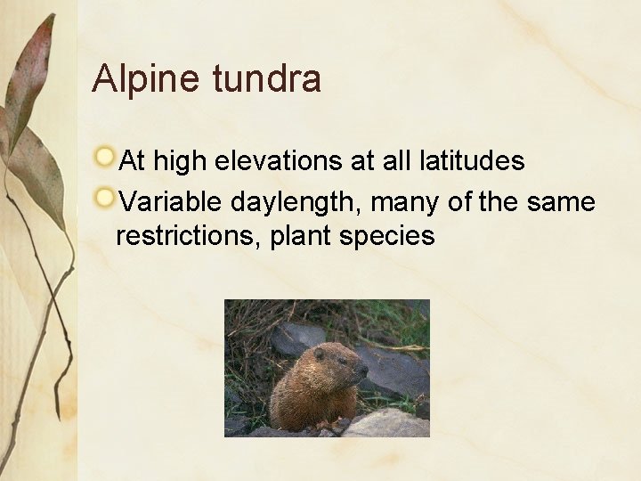 Alpine tundra At high elevations at all latitudes Variable daylength, many of the same