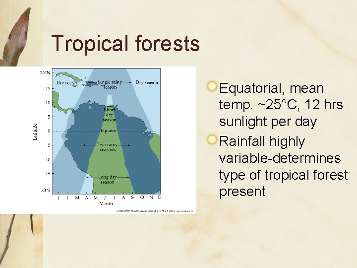 Tropical forests Equatorial, mean temp. ~25°C, 12 hrs sunlight per day Rainfall highly variable-determines