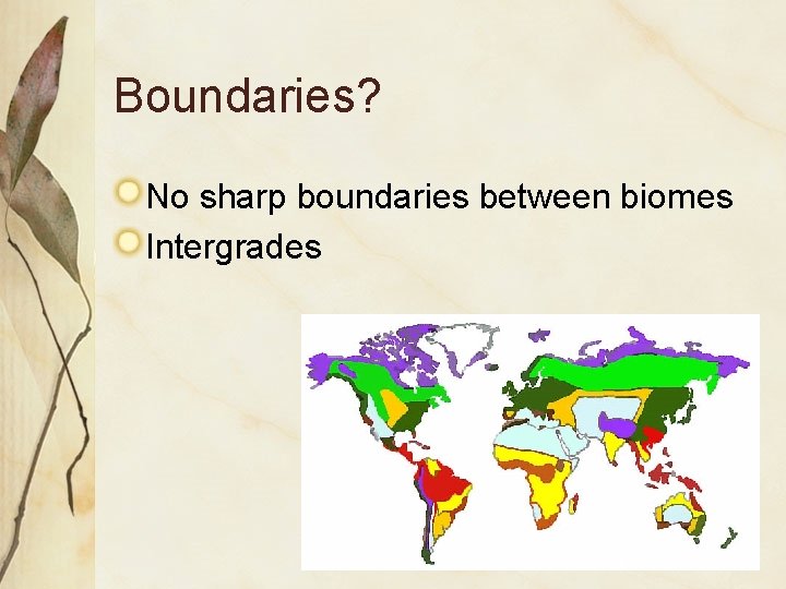 Boundaries? No sharp boundaries between biomes Intergrades 