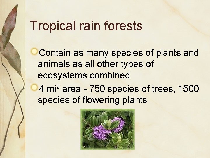 Tropical rain forests Contain as many species of plants and animals as all other