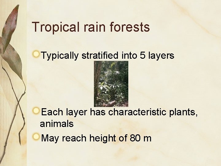 Tropical rain forests Typically stratified into 5 layers Each layer has characteristic plants, animals