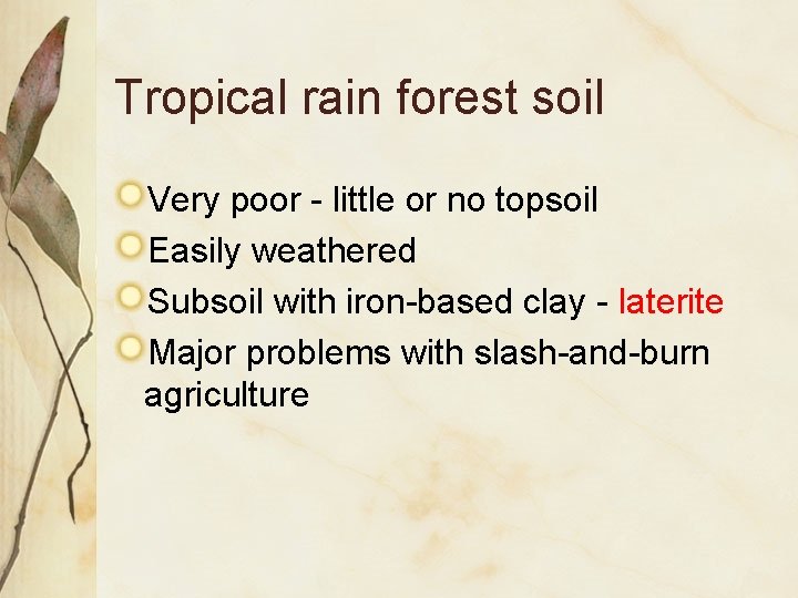 Tropical rain forest soil Very poor - little or no topsoil Easily weathered Subsoil