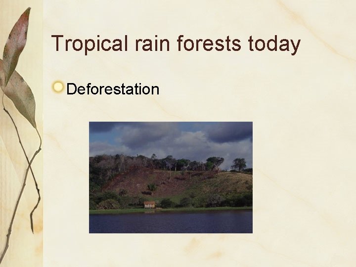 Tropical rain forests today Deforestation 