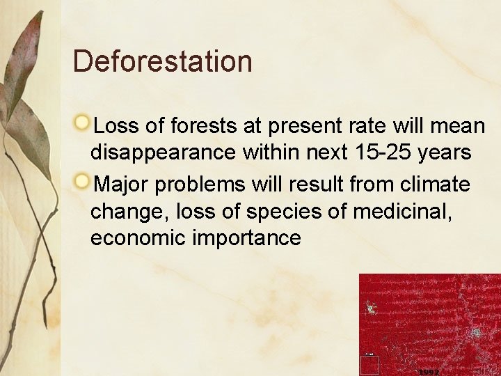 Deforestation Loss of forests at present rate will mean disappearance within next 15 -25