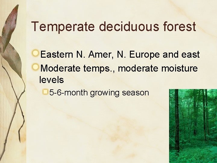 Temperate deciduous forest Eastern N. Amer, N. Europe and east Moderate temps. , moderate