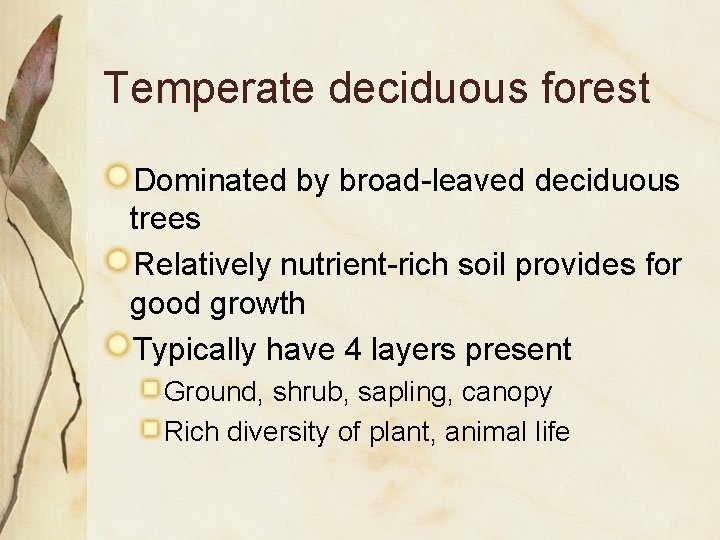 Temperate deciduous forest Dominated by broad-leaved deciduous trees Relatively nutrient-rich soil provides for good