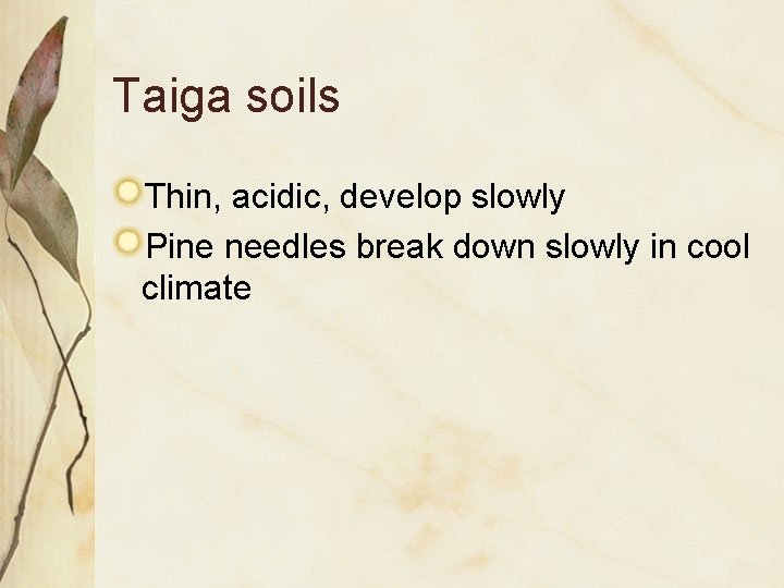 Taiga soils Thin, acidic, develop slowly Pine needles break down slowly in cool climate