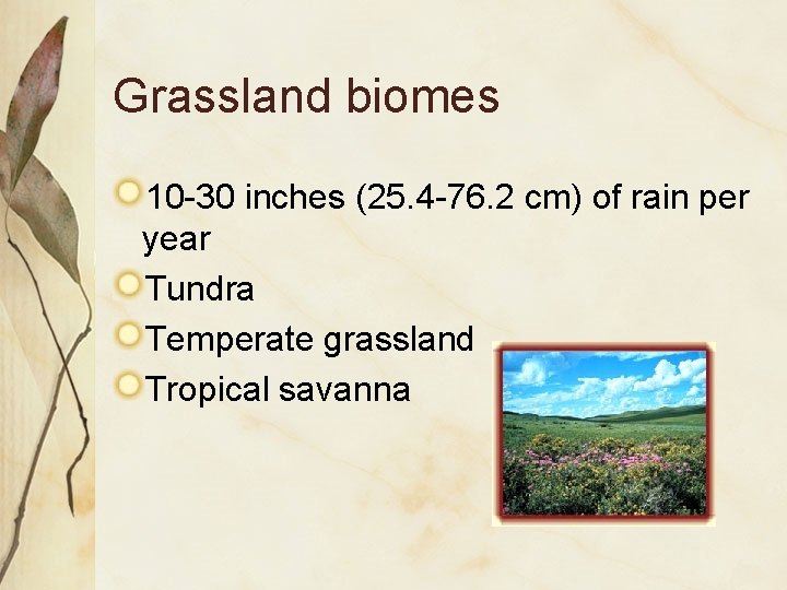 Grassland biomes 10 -30 inches (25. 4 -76. 2 cm) of rain per year