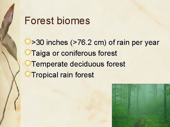 Forest biomes >30 inches (>76. 2 cm) of rain per year Taiga or coniferous