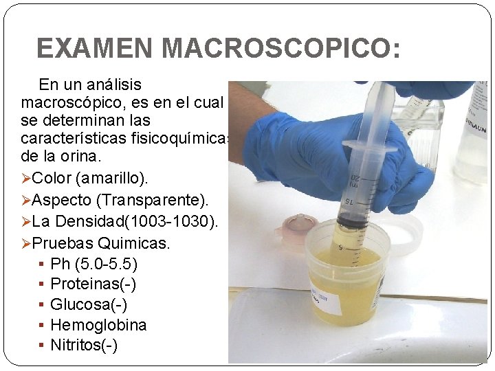 EXAMEN MACROSCOPICO: En un análisis macroscópico, es en el cual se determinan las características