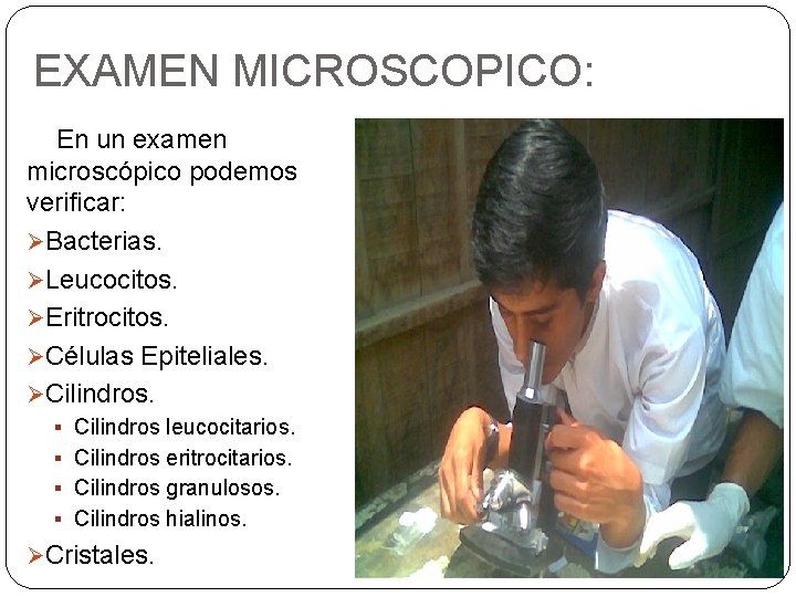 EXAMEN MICROSCOPICO: En un examen microscópico podemos verificar: ØBacterias. ØLeucocitos. ØEritrocitos. ØCélulas Epiteliales. ØCilindros.