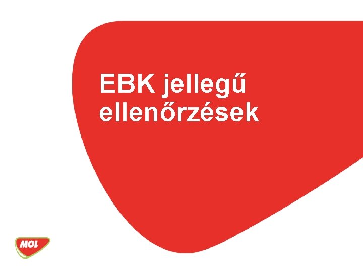 EBK jellegű ellenőrzések 