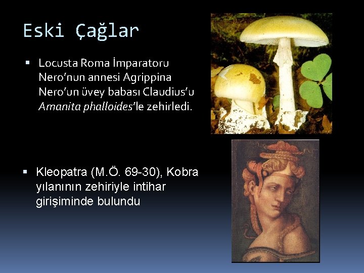 Eski Çağlar Locusta Roma İmparatoru Nero’nun annesi Agrippina Nero’un üvey babası Claudius’u Amanita phalloides’le