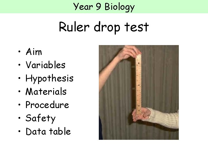 Year 9 Biology Ruler drop test • • Aim Variables Hypothesis Materials Procedure Safety