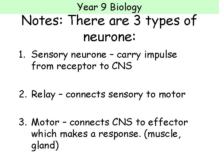 Year 9 Biology Notes: There are 3 types of neurone: 1. Sensory neurone –