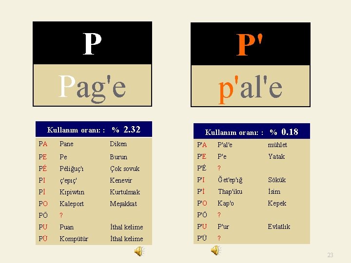 P Pag'e P' p'al'e Kullanım oranı: : % 2. 32 Kullanım oranı: : %