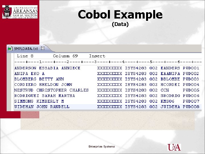 Cobol Example (Data) Enterprise Systems 