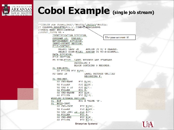 Cobol Example Enterprise Systems (single job stream) 