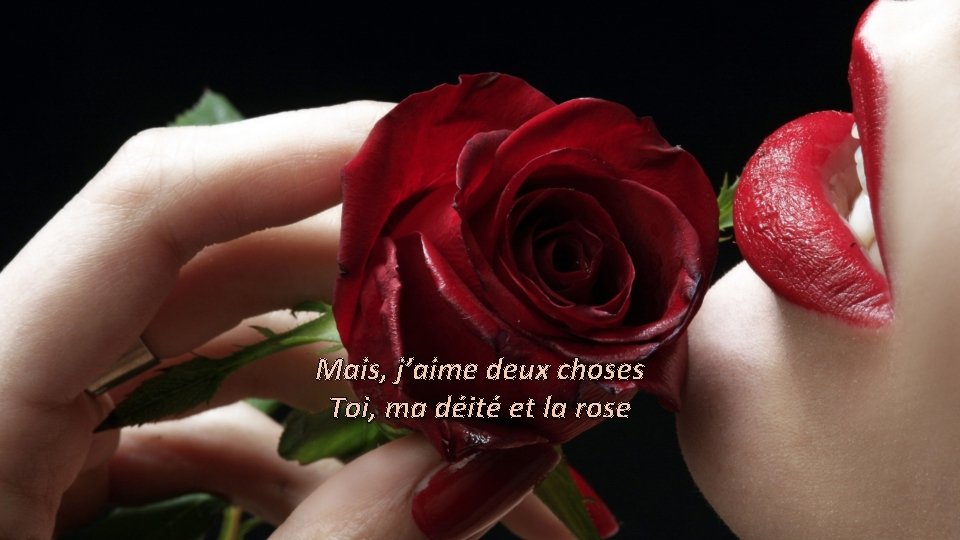 Mais, j’aime deux choses Toi, ma déité et la rose 