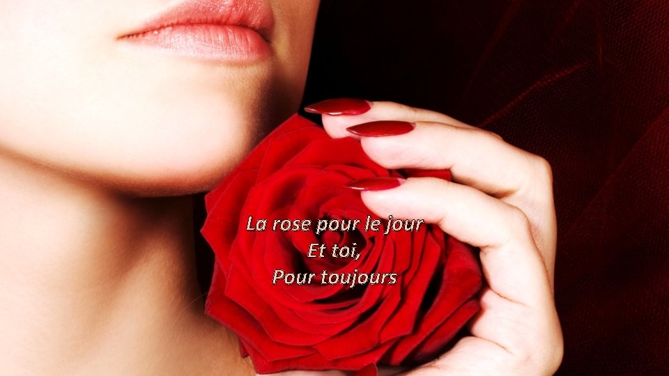 La rose pour le jour Et toi, Pour toujours 