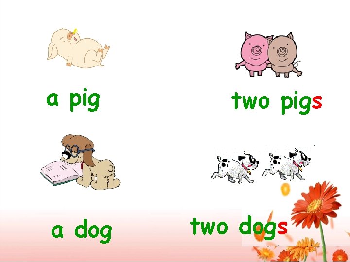 a pig a dog two pigs two dogs 