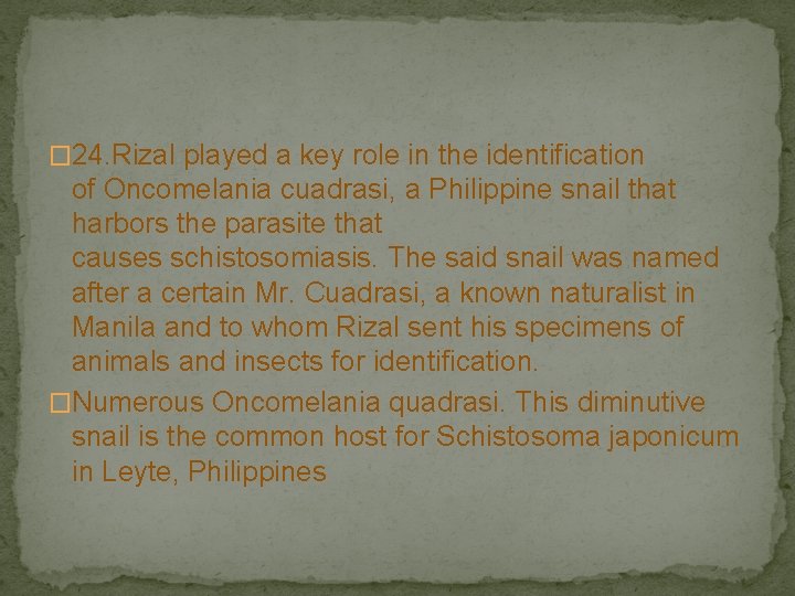 � 24. Rizal played a key role in the identification of Oncomelania cuadrasi, a