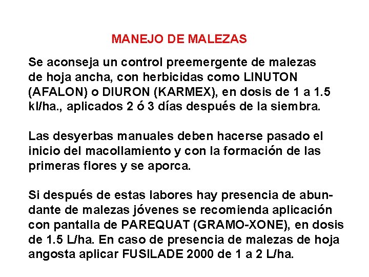 MANEJO DE MALEZAS Se aconseja un control preemergente de malezas de hoja ancha, con