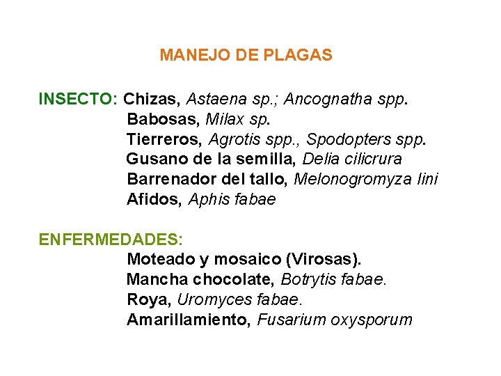 MANEJO DE PLAGAS INSECTO: Chizas, Astaena sp. ; Ancognatha spp. Babosas, Milax sp. Tierreros,