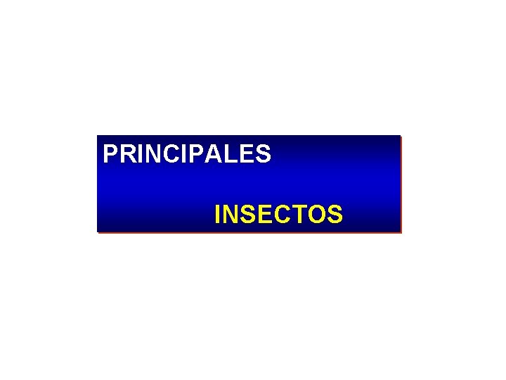 PRINCIPALES INSECTOS 