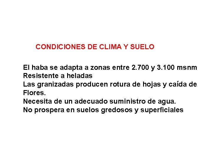 CONDICIONES DE CLIMA Y SUELO El haba se adapta a zonas entre 2. 700