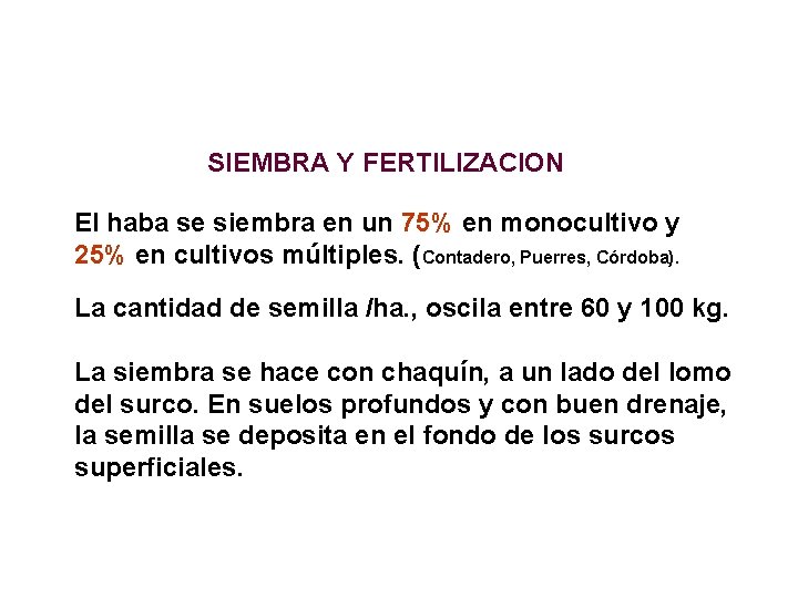SIEMBRA Y FERTILIZACION El haba se siembra en un 75% en monocultivo y 25%