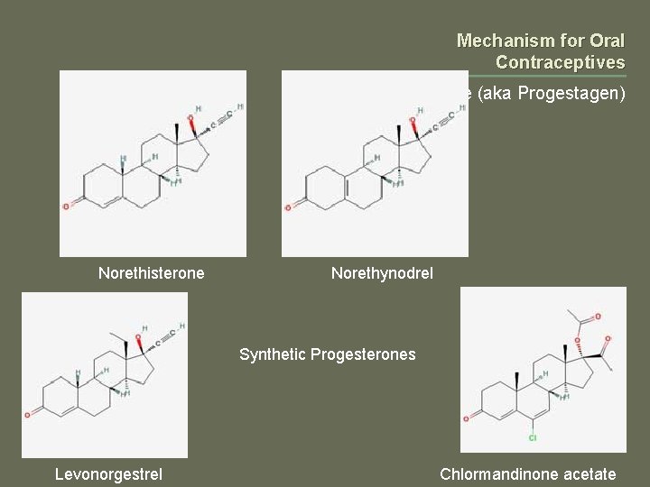 Mechanism for Oral Contraceptives Progesterone (aka Progestagen) Norethisterone Norethynodrel Synthetic Progesterones Levonorgestrel Chlormandinone acetate